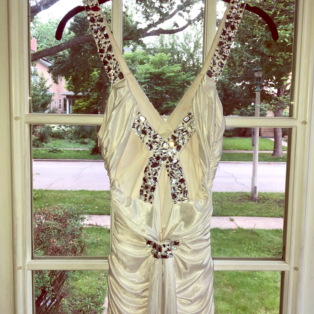 Cinderella Wore This Dress!